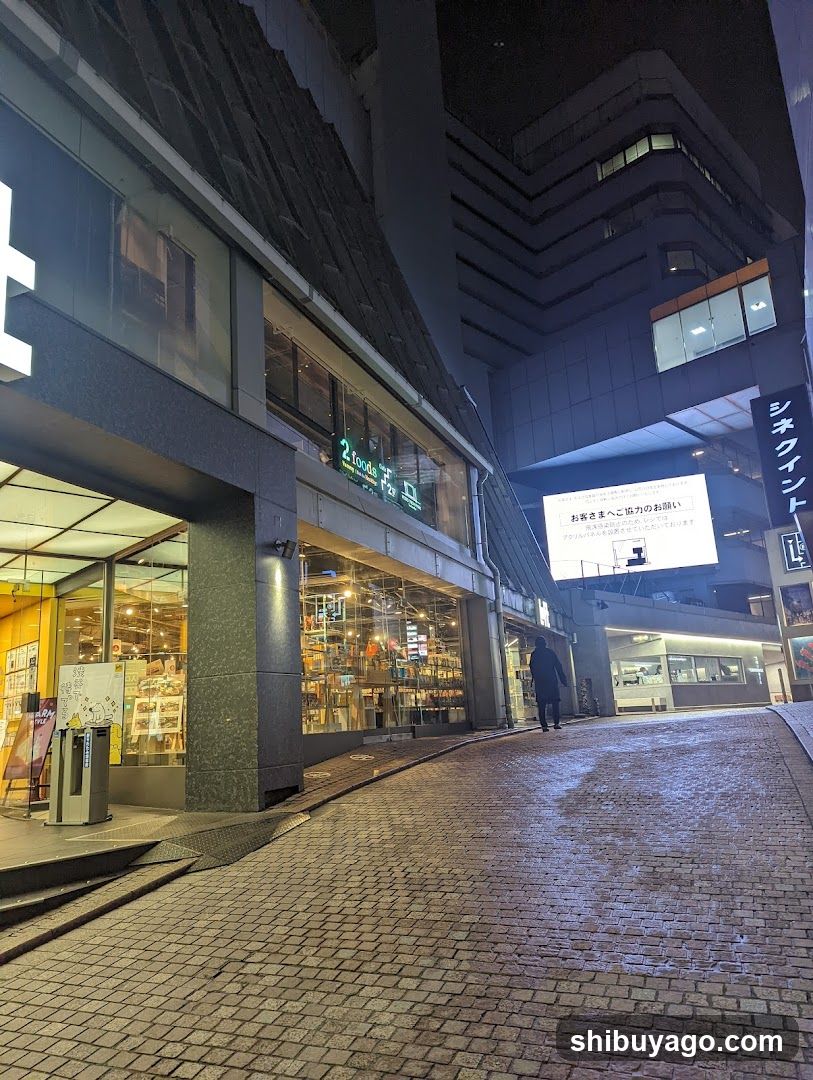 Night street scene with illuminated storefronts