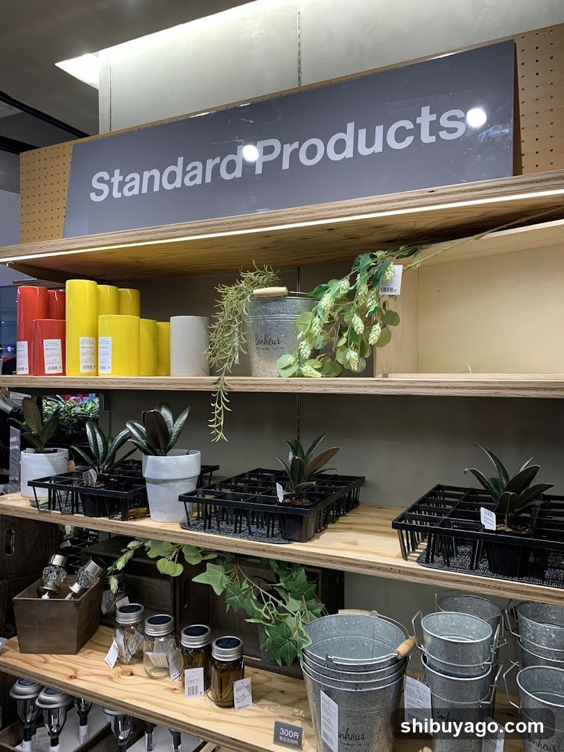 Daiso
