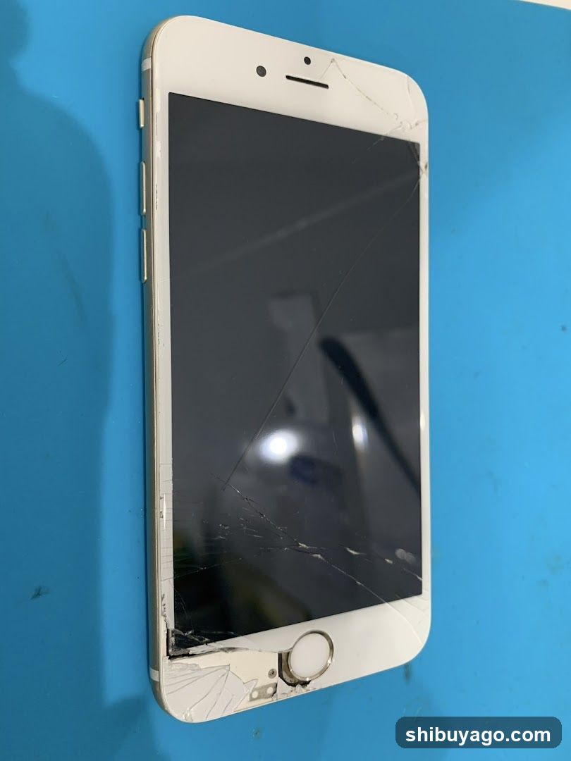 Daiwa Telecom iPhone Repair