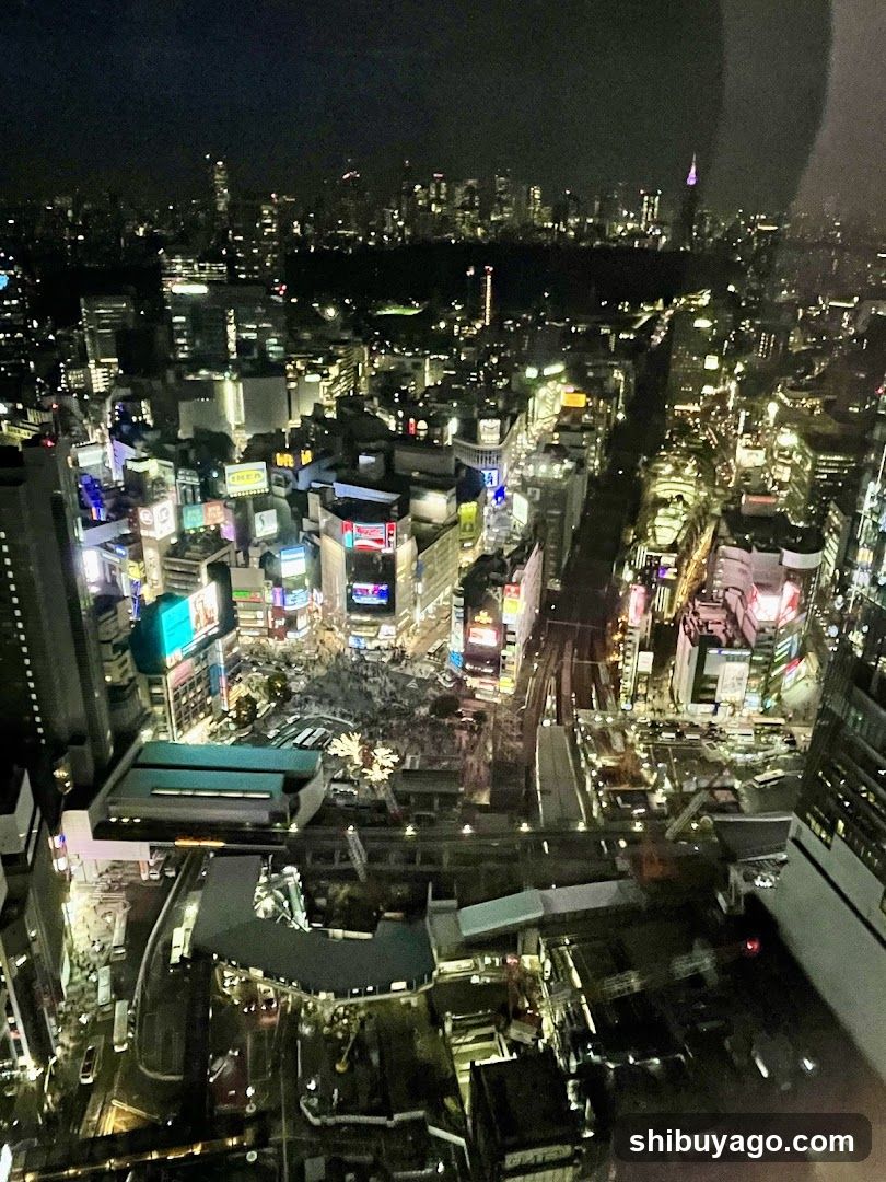 Shibuya Sakura Stage SHIBUYA TOWER