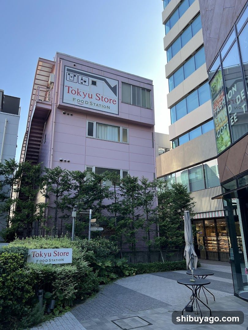 Tokyu Store Food Station Shibuya Cast.