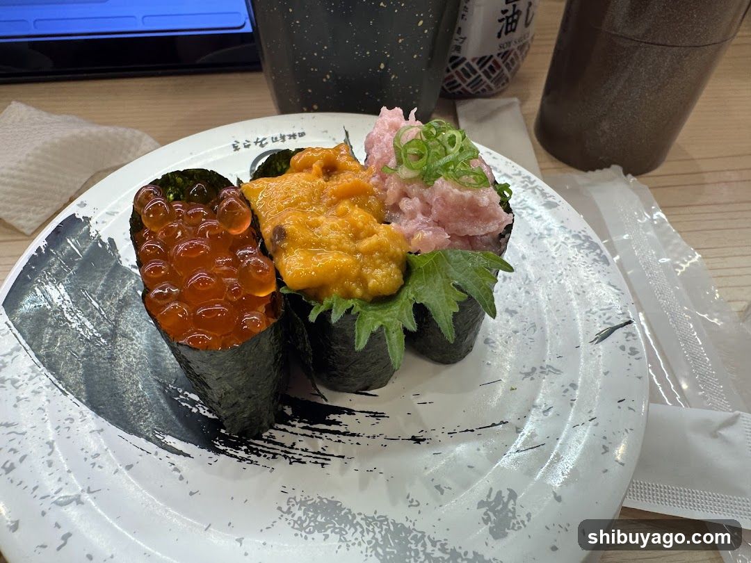 Kaitenzushi MISAKI