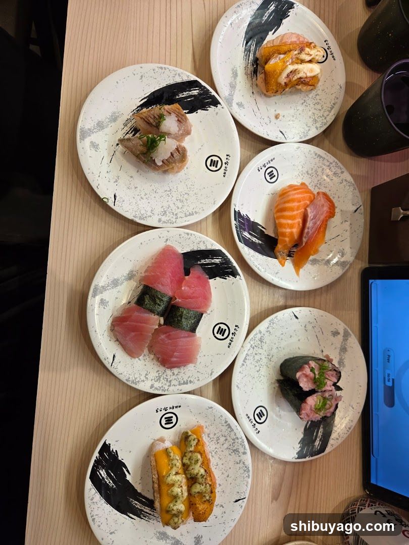 Kaitenzushi MISAKI