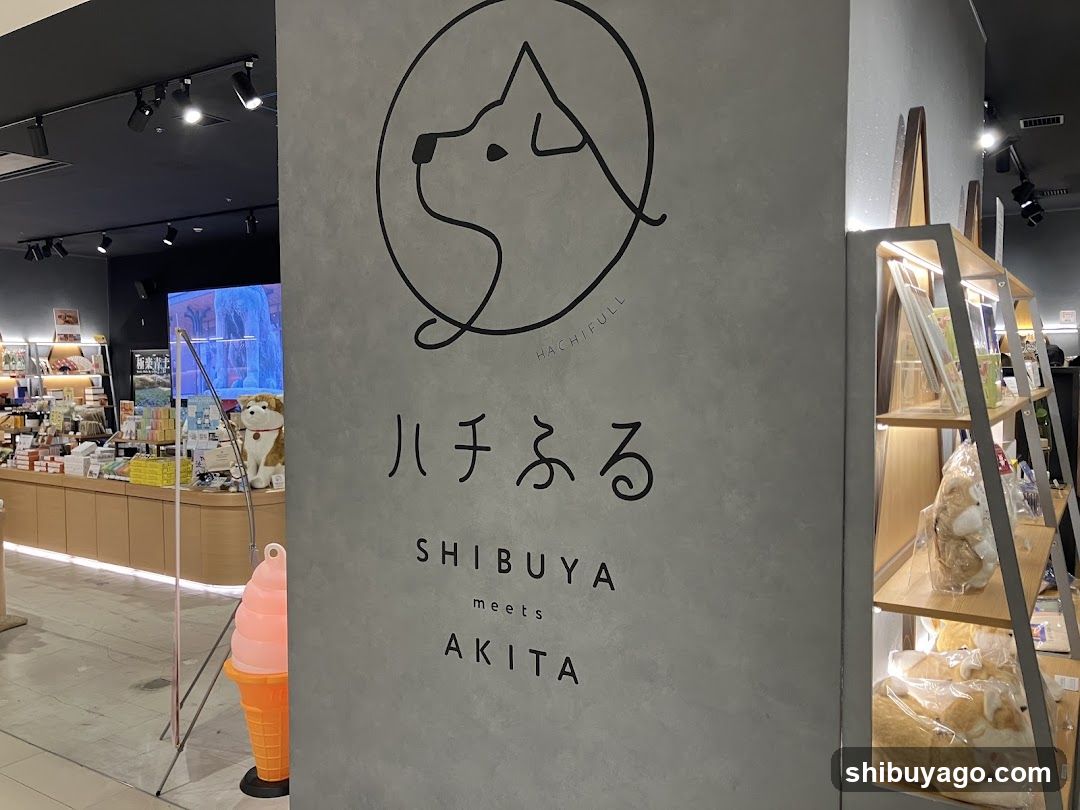 Hachiful SHIBUYA meets AKITA