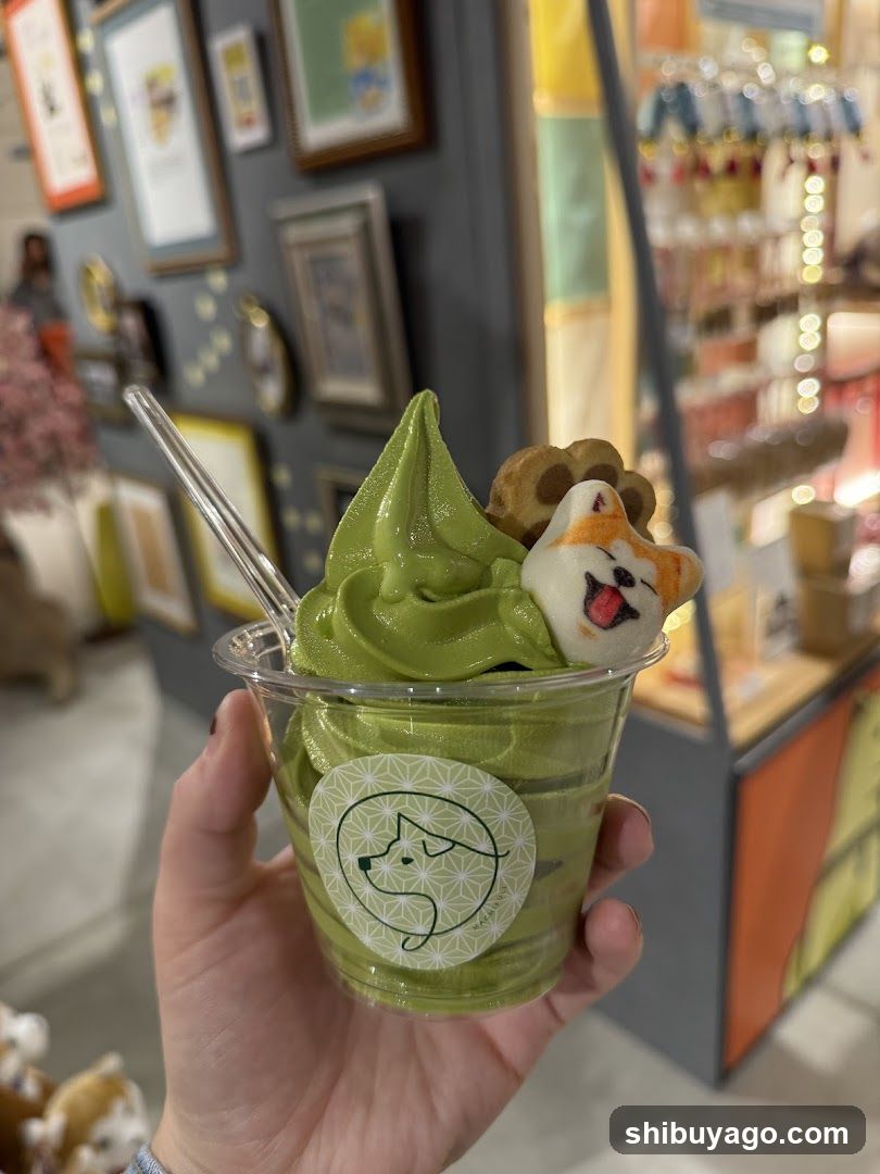 Hachiful SHIBUYA meets AKITA