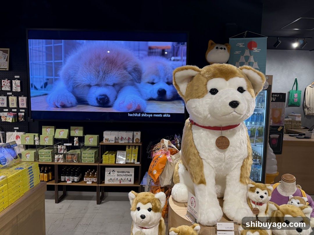 Hachiful SHIBUYA meets AKITA