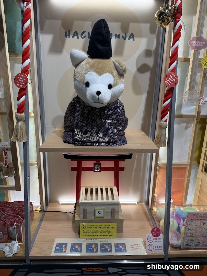 Hachiful SHIBUYA meets AKITA