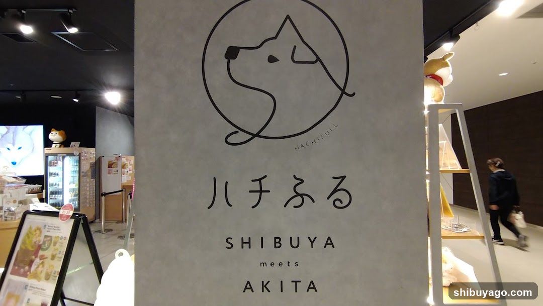 Hachiful SHIBUYA meets AKITA