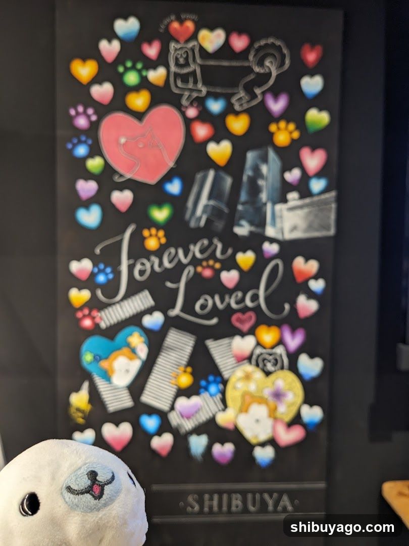 Hachiful SHIBUYA meets AKITA