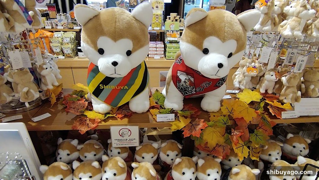Hachiful SHIBUYA meets AKITA