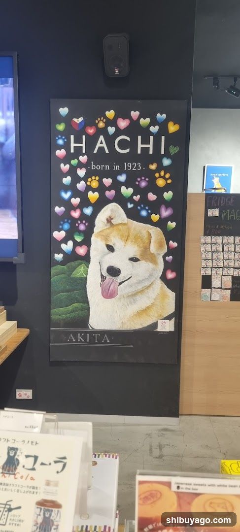 Hachiful SHIBUYA meets AKITA