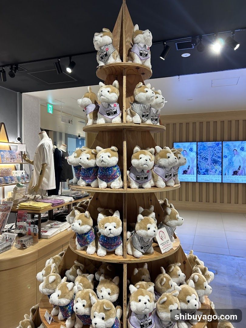 Hachiful SHIBUYA meets AKITA