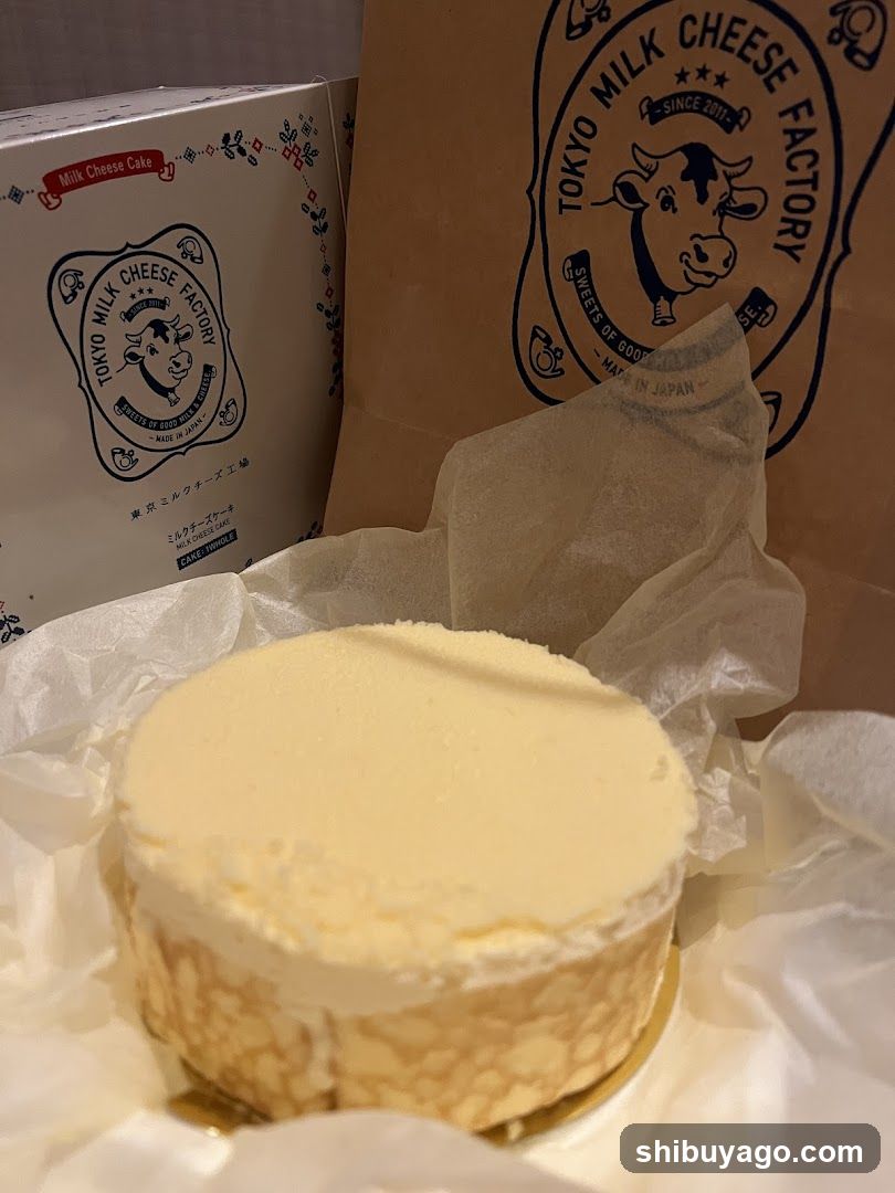Tokyo Milk Cheese Factory