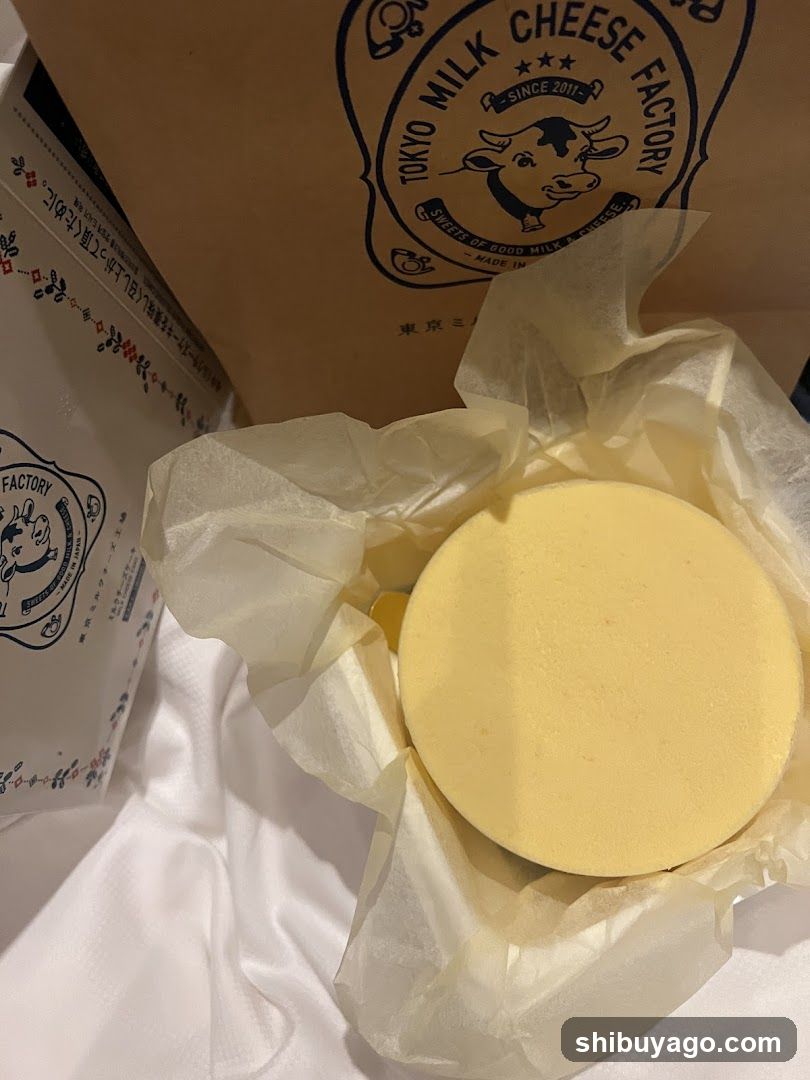 Tokyo Milk Cheese Factory
