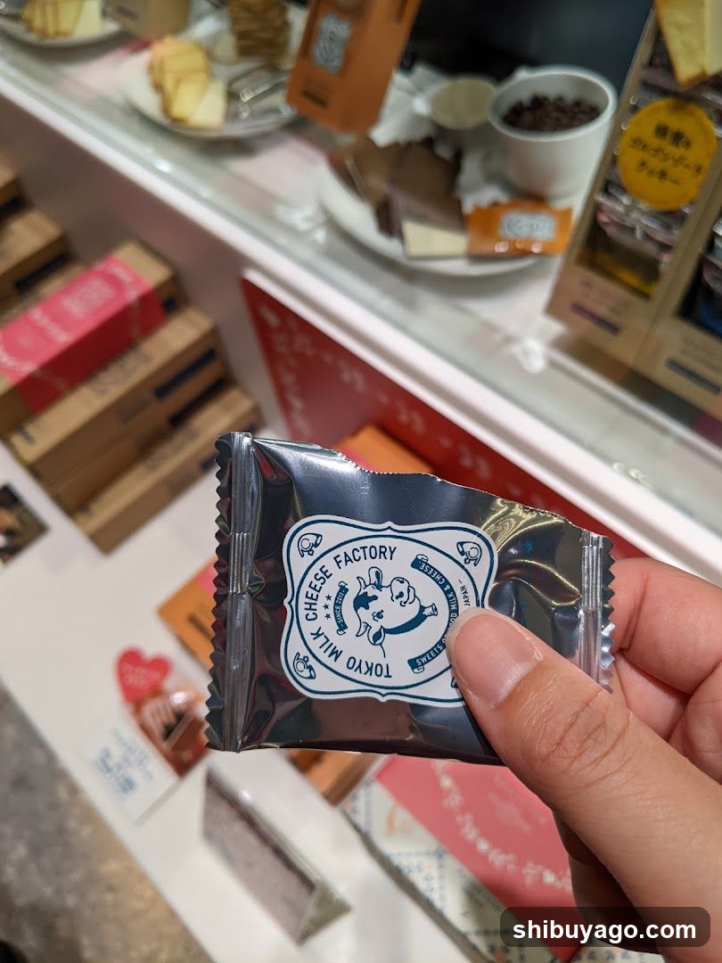 Tokyo Milk Cheese Factory