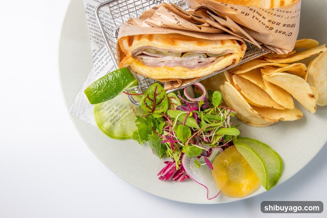 Sandwich with Chips and Salad