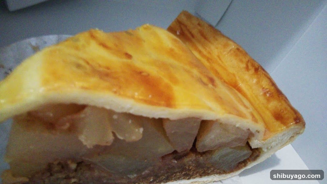 Apple Pie Slice