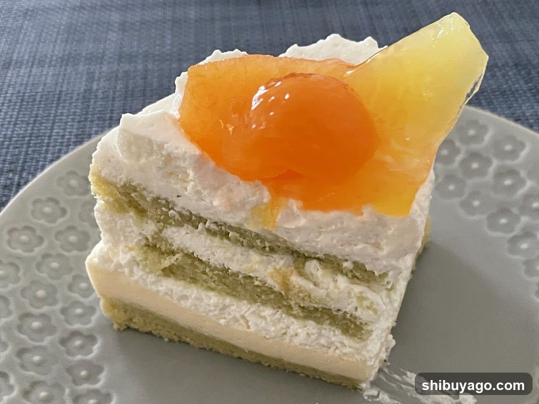 Slice of layered cake with fruit topping
