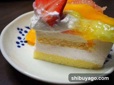 Fruit Cake Slice