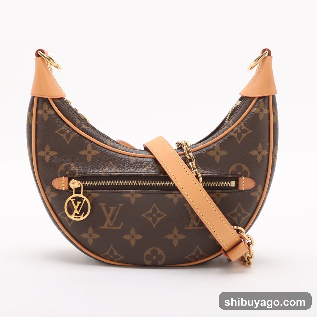 Louis Vuitton Moon Bag