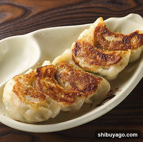 Gyoza on a plate