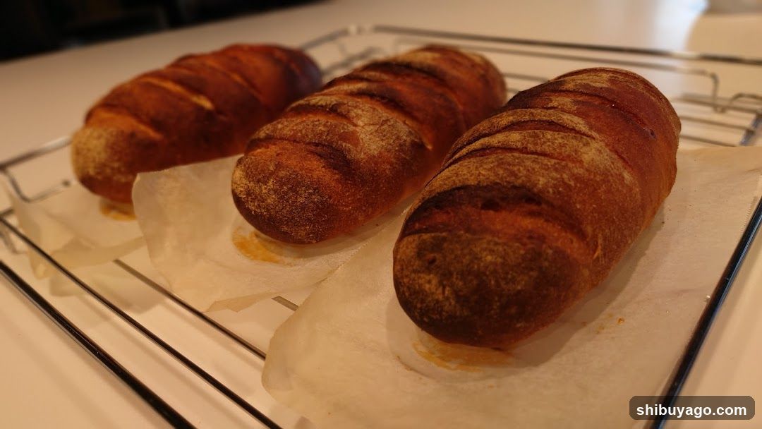 Baked Bread Loaves on Cooling Rack