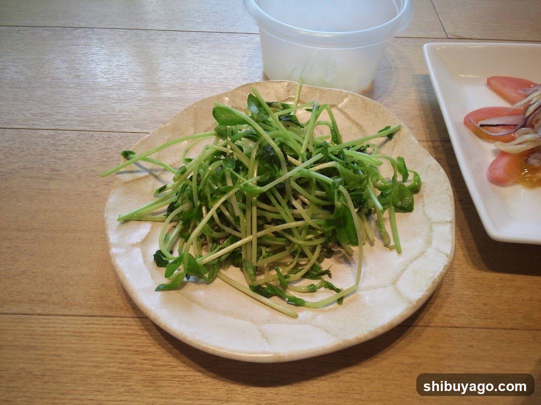 Fresh Greens Salad