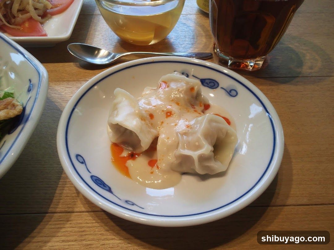 Dumplings with Sauce