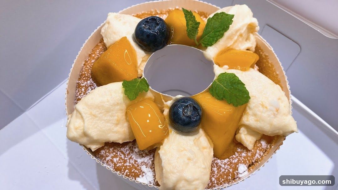 Mango and Blueberry Dessert Cake