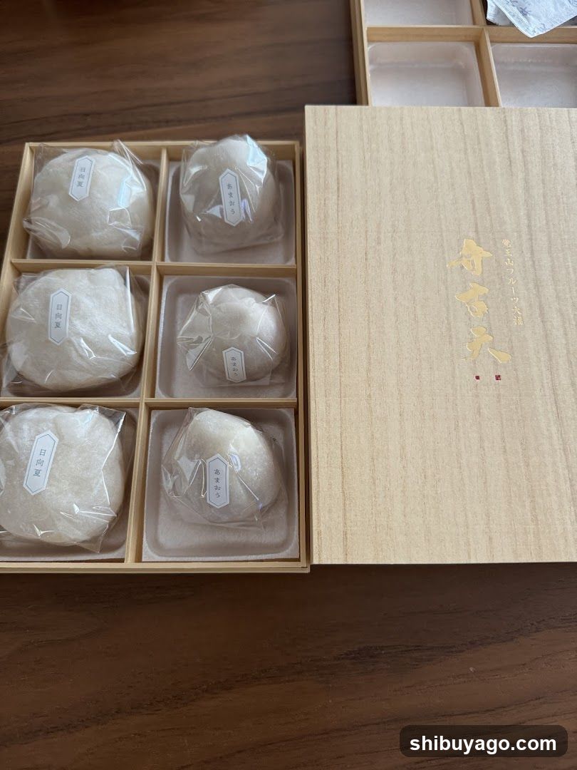 Gift Box of Japanese Dishes