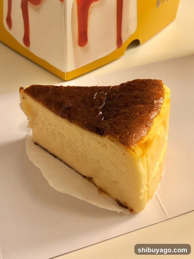 Cheesecake Slice