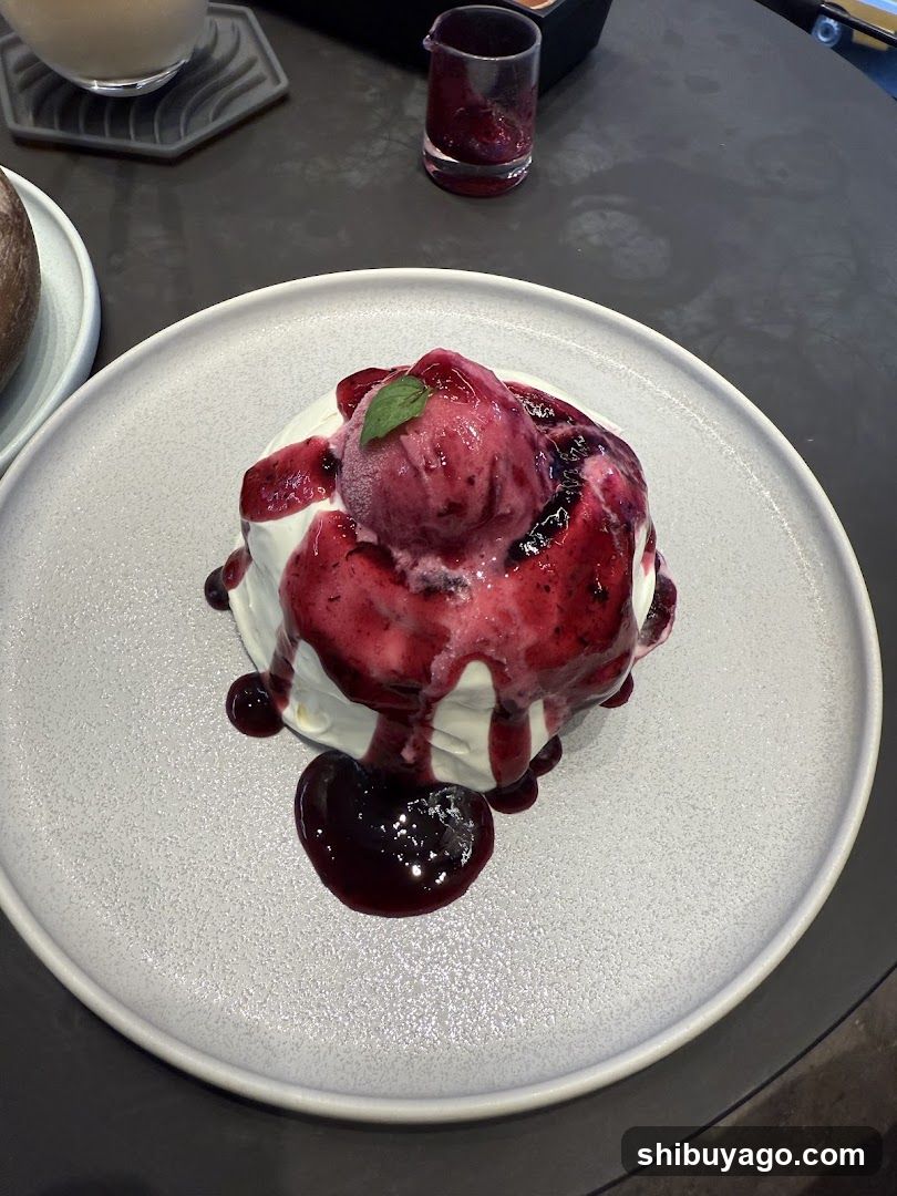 Berry Ice Cream Dessert