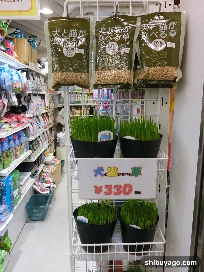 Pet Grass Display in Store