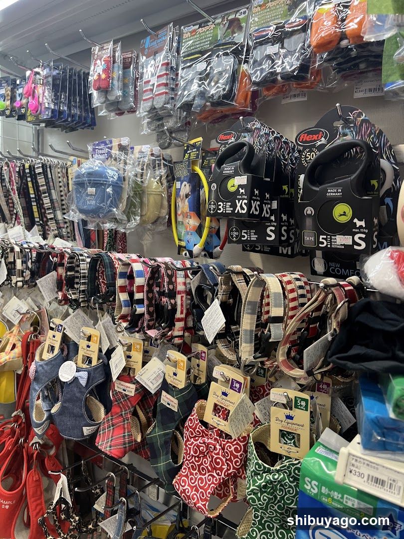 Pet Supplies Store Interior