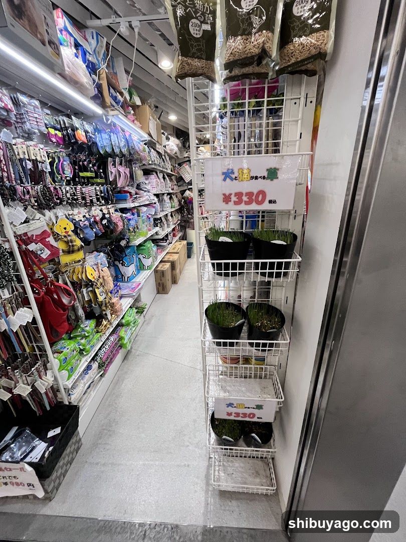 Pet Supplies Store Interior