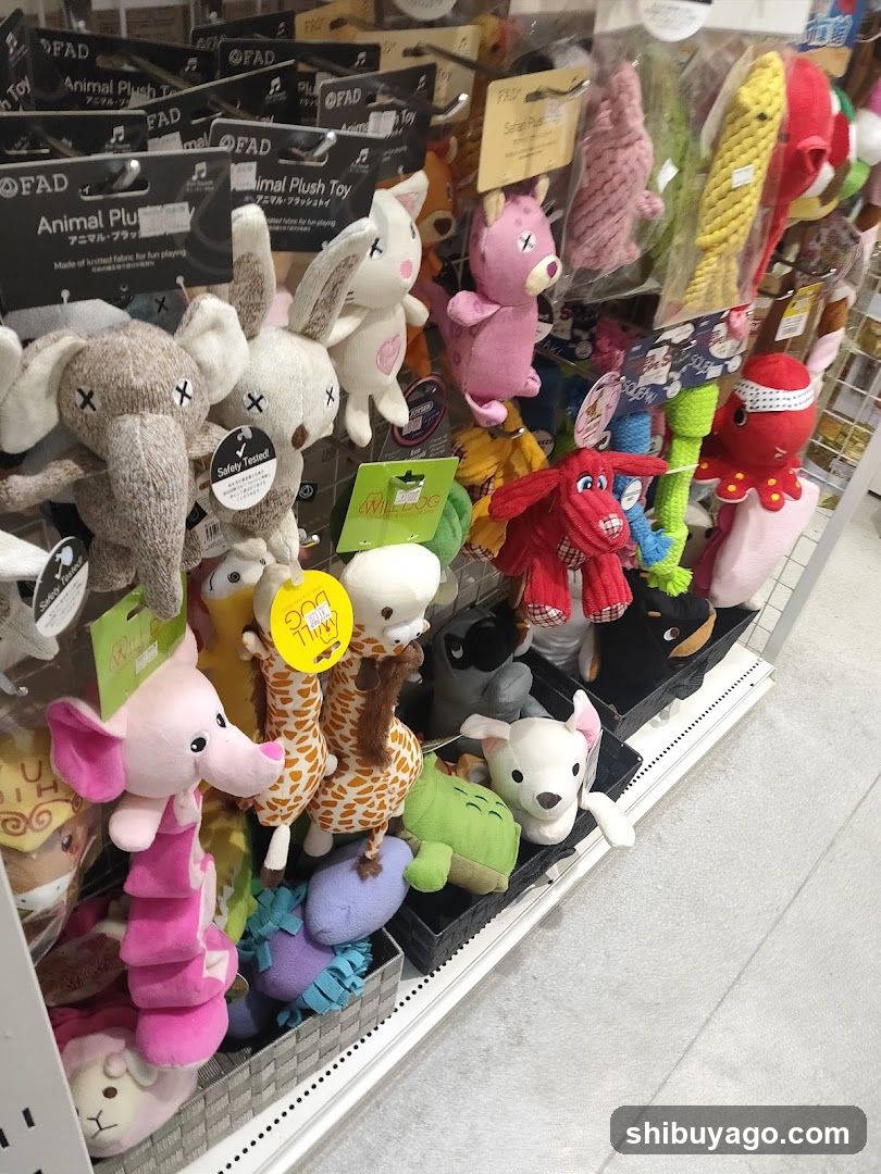 Pet Store Interior Display
