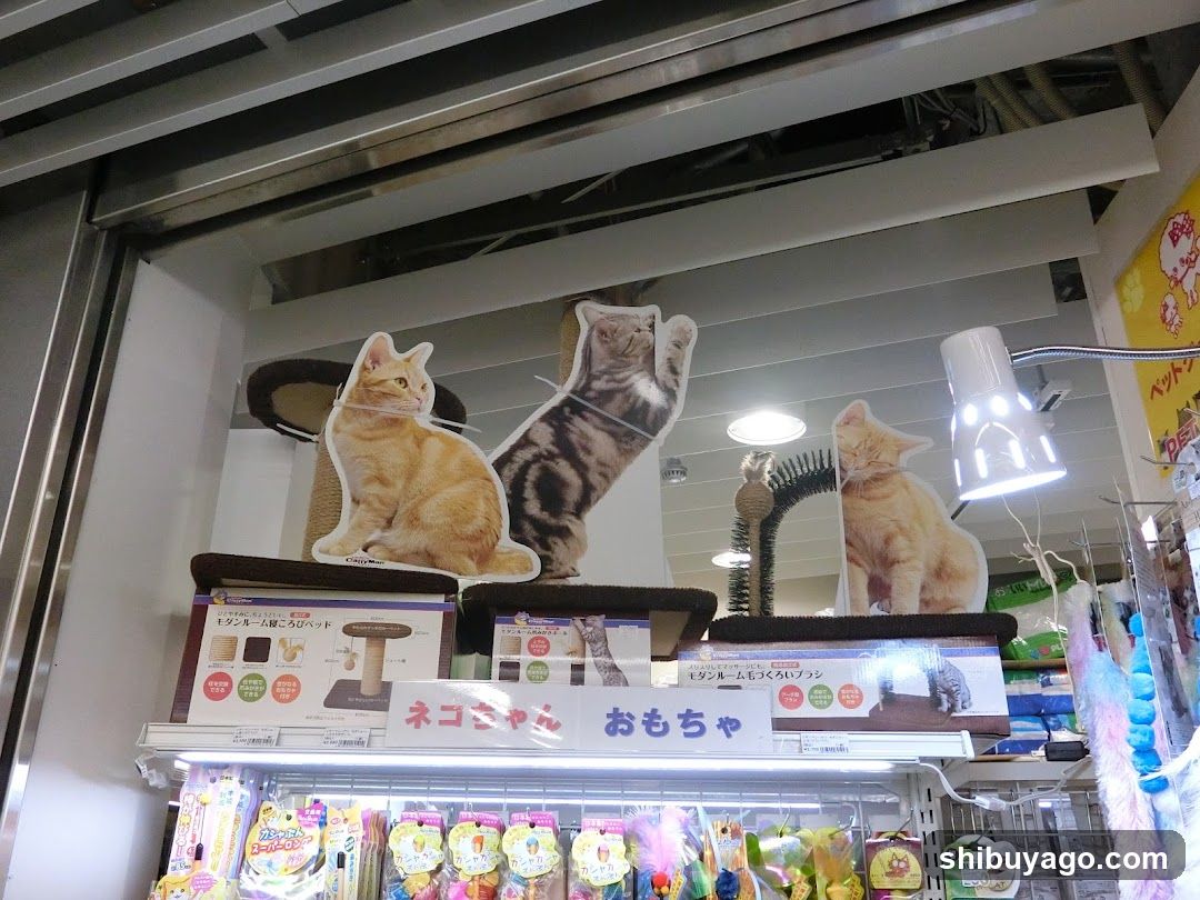 Cat Toy Display