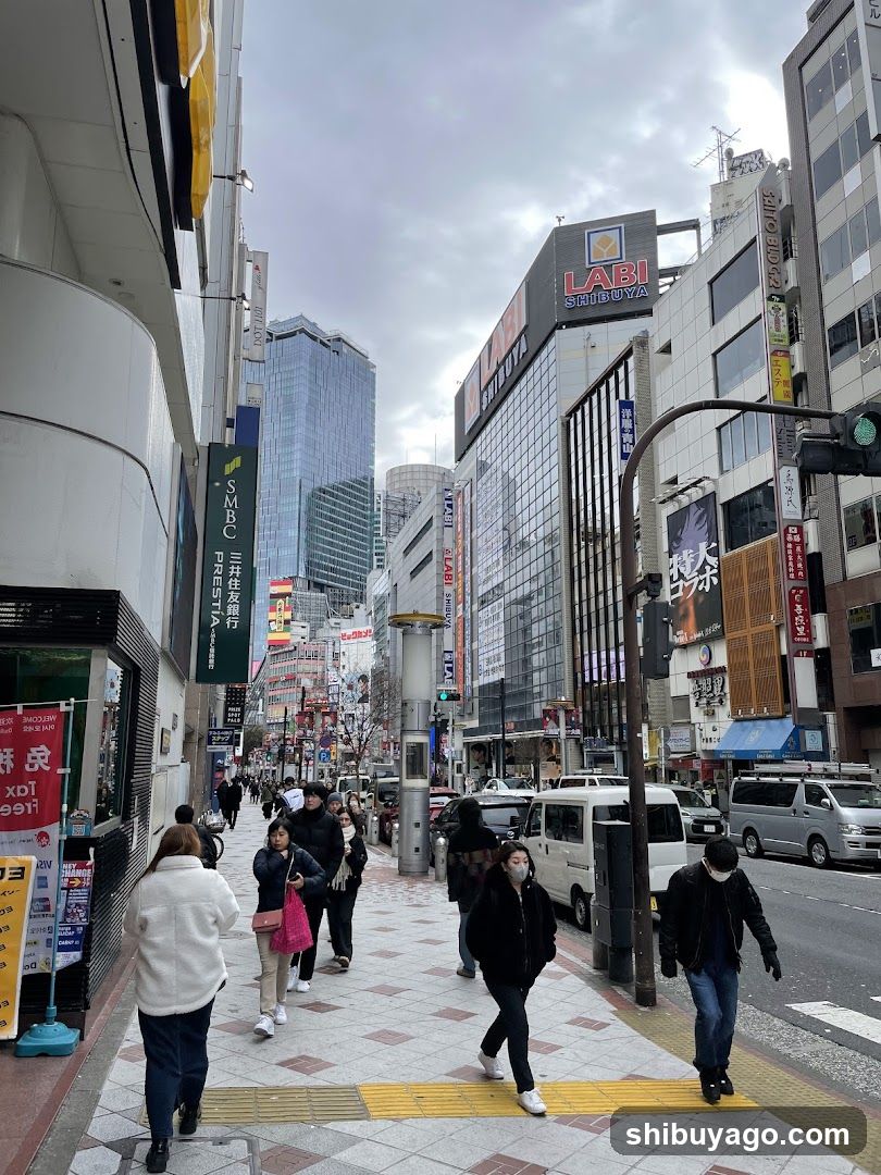 Busy Urban Street Scene