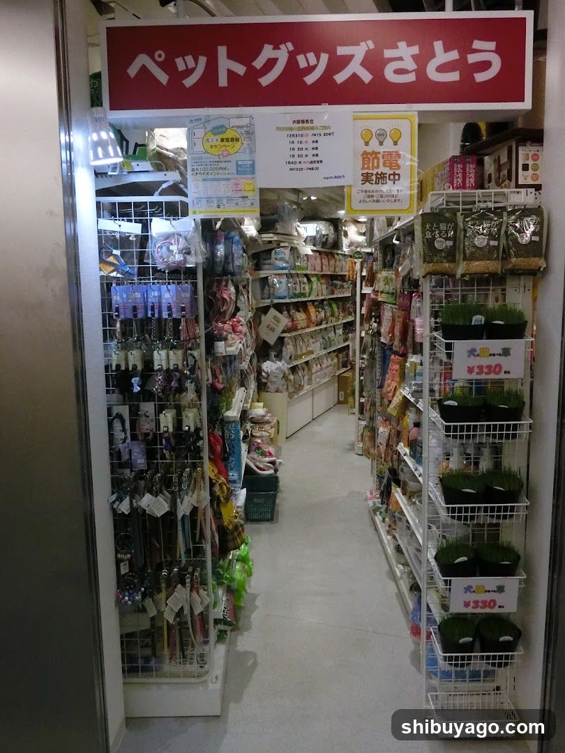 Pet Goods Store Interior