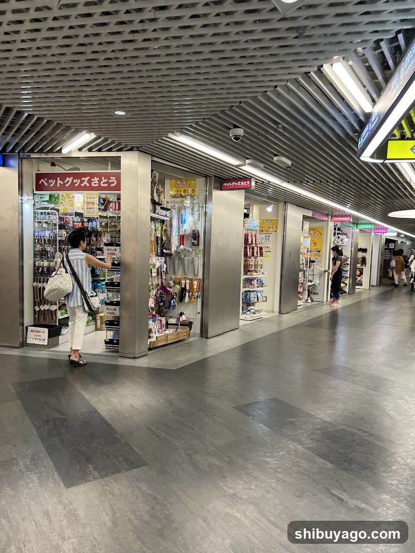 Pet Shop Interior