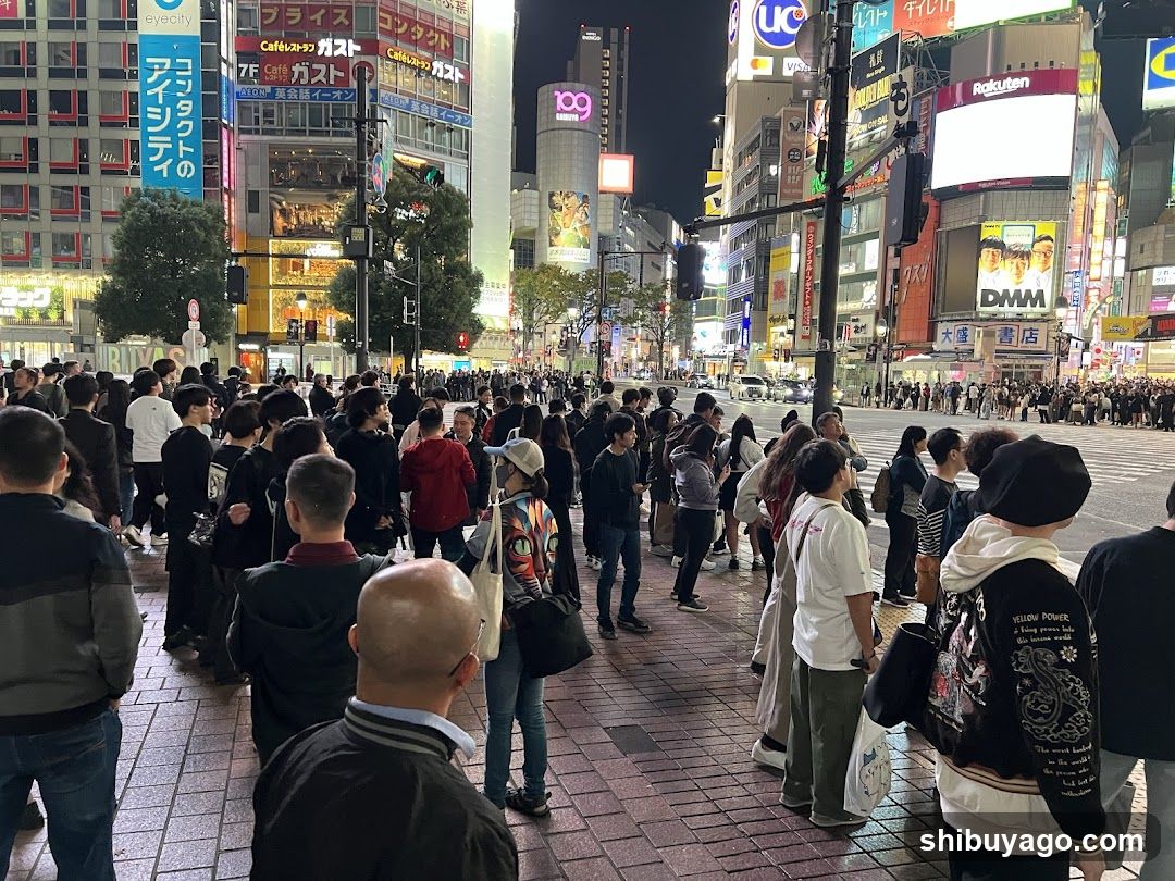 Crowded Night Street in Japan