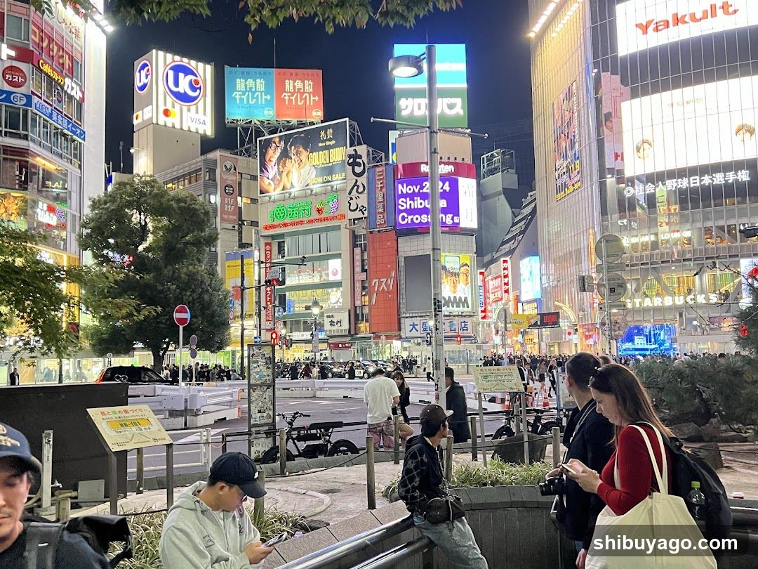 Shibuya Crossing Night View
