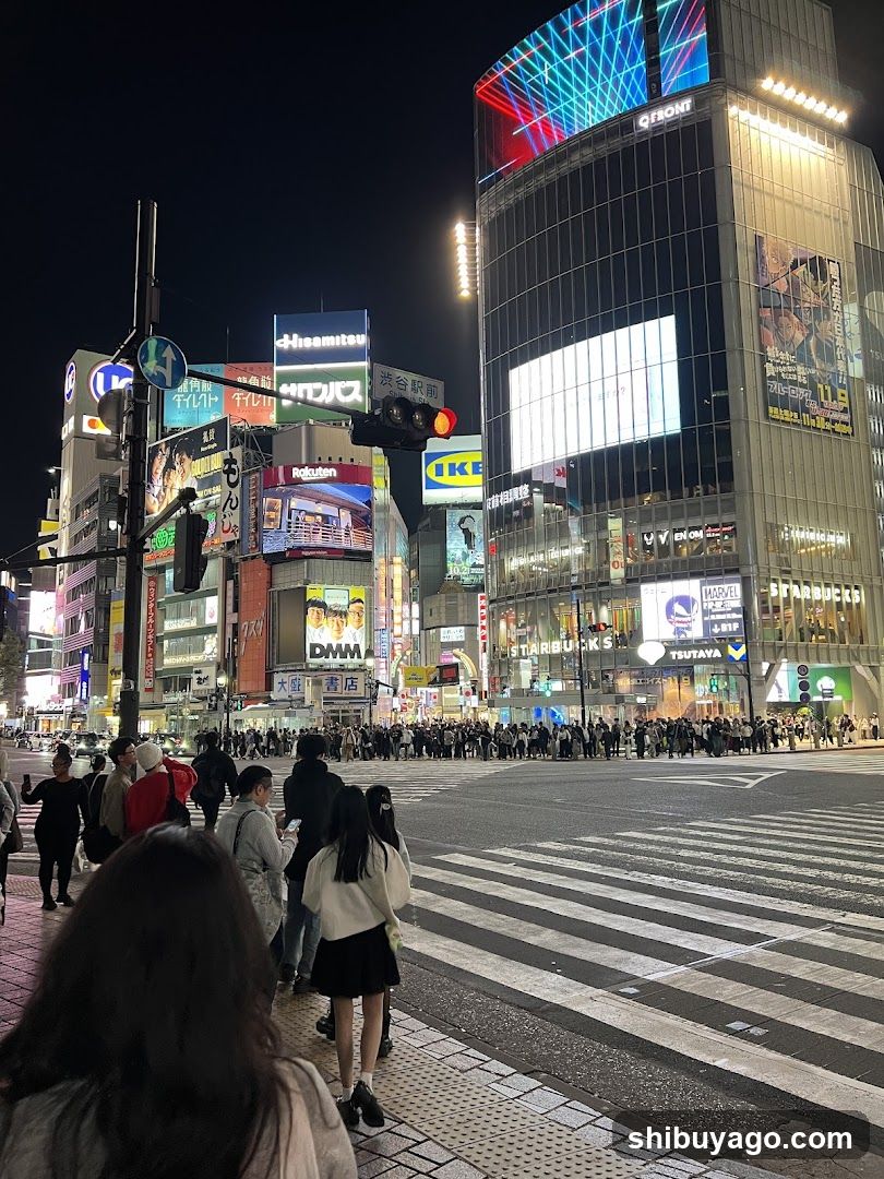 Shibuya Crossing Night View