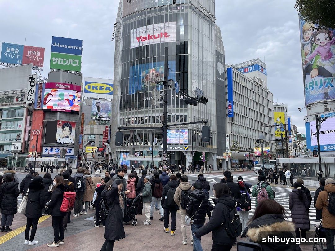 Shibuya Crossing Crowds