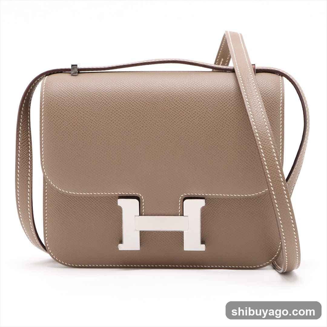 Hermes Constance Bag