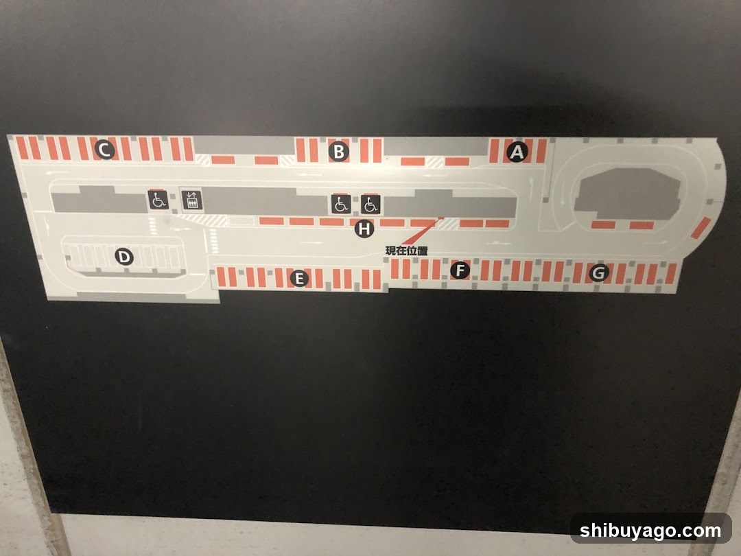 Parking Lot Map