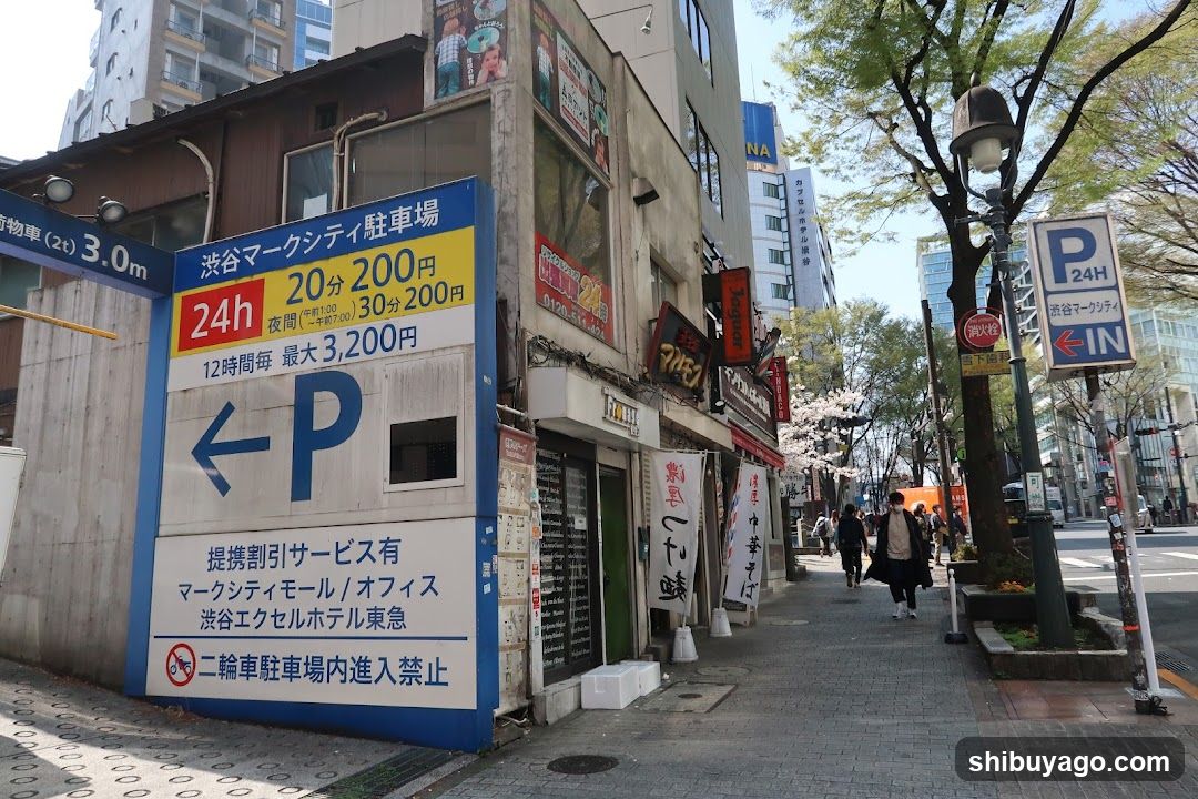 Parking Lot Signage and Street Scene