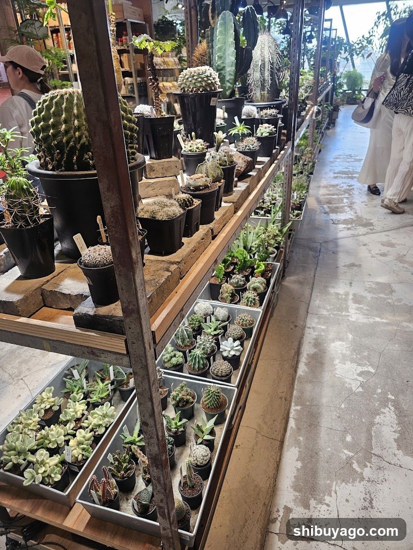 garage SHIBUYA Living with plants