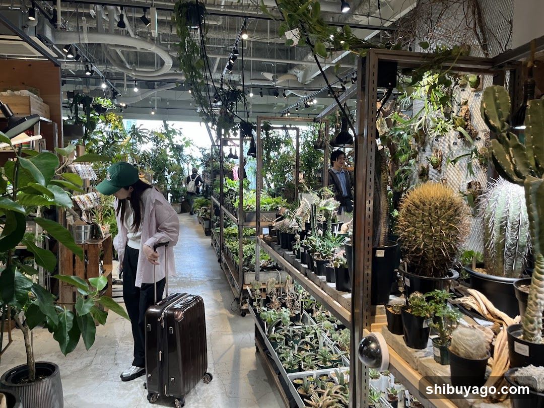 garage SHIBUYA Living with plants