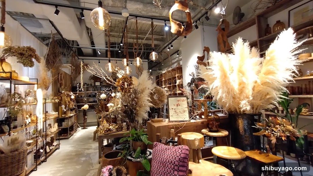 garage SHIBUYA Living with plants